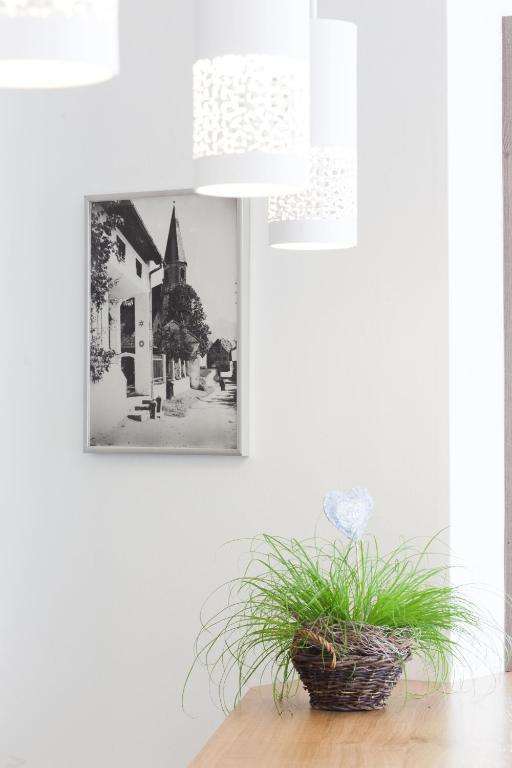 Hotel Altmuensterhof Extérieur photo
